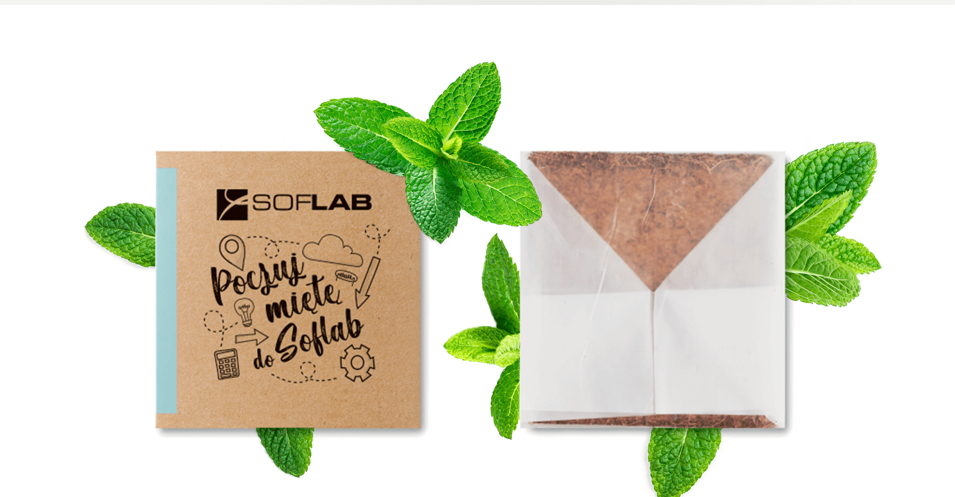 soflab_www_08